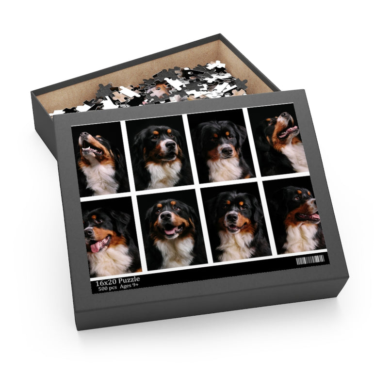 Bernese Mountain Dog Collage - Jigsaw Puzzle