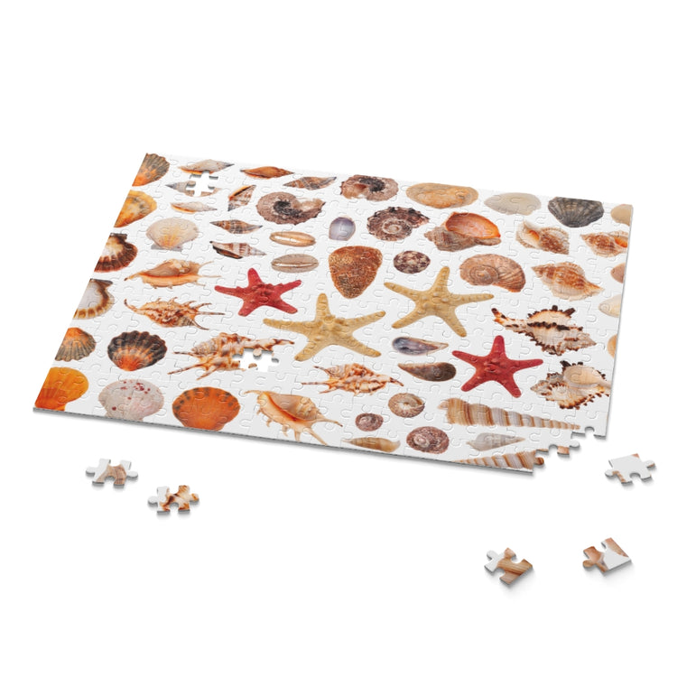 Clipart sea shells - Jigsaw Puzzle