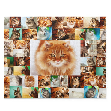 Cats - Collage - Center is fluffy ginger cat - Jigsaw Puzzle