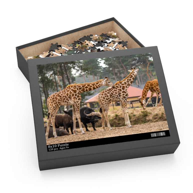Giraffes in a safari park - Jigsaw Puzzle