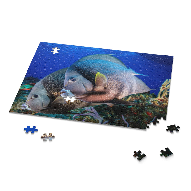 Gray Angel Fish in Cozumel, Mexico - Jigsaw Puzzle