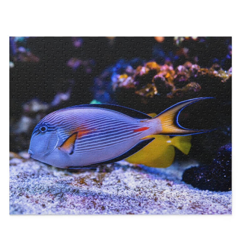 Sohal surgeonfish - beautiful underwater world - Jigsaw Puzzle