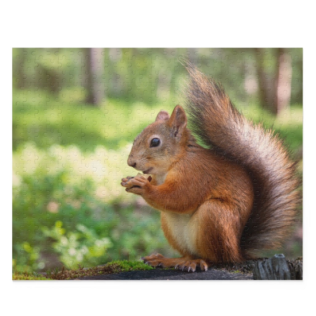 Squirrel eating a nut - Jigsaw Puzzle