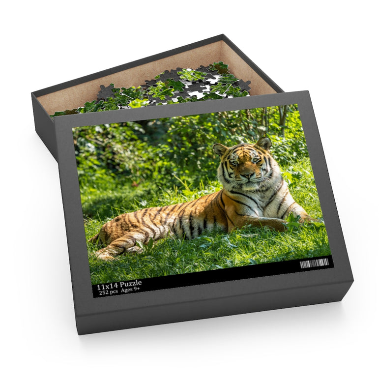 Siberian Tiger - Biggest cat in the world - Jigsaw Puzzle