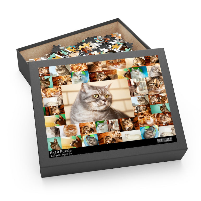 Collage of cats - Jigsaw Puzzle