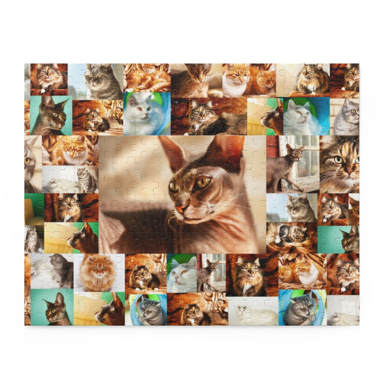Cats - Collage - Center is Sphynx cat - Jigsaw Puzzle