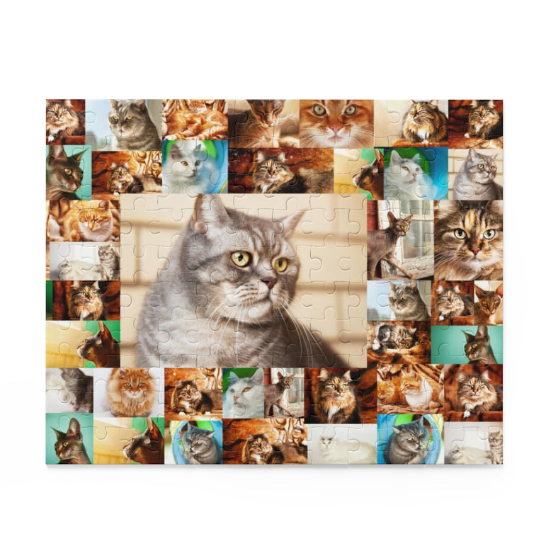 Collage of cats - Jigsaw Puzzle