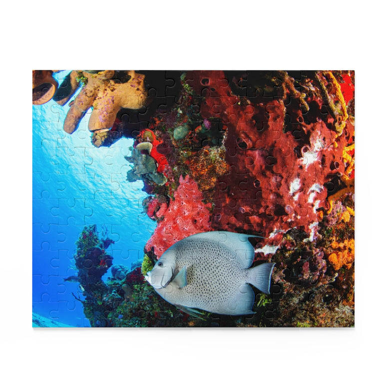 Gray Angel Fish in Cozumel - Jigsaw Puzzle