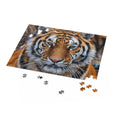 Siberian Tiger Closeup - Jigsaw Puzzle