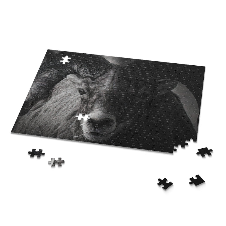 Bighorn sheep - Jigsaw Puzzle