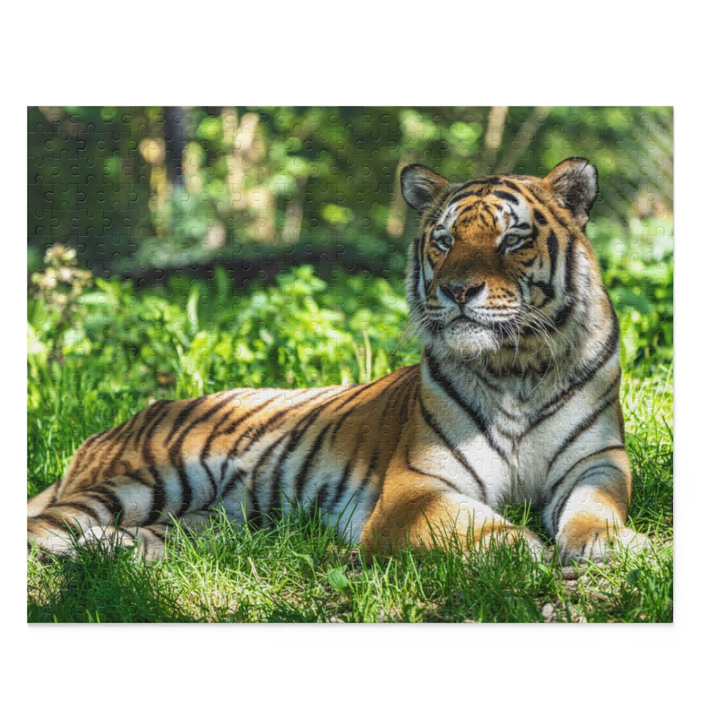 Biggest cat in the world - Siberian Tiger - Jigsaw Puzzle