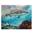 Great White Shark  - Jigsaw Puzzle