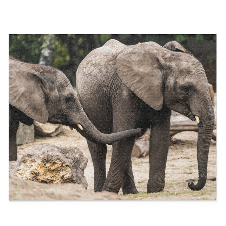 Two young elephants playing - Jigsaw Puzzle
