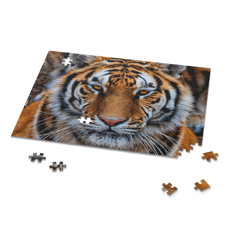 Siberian Tiger Closeup - Jigsaw Puzzle