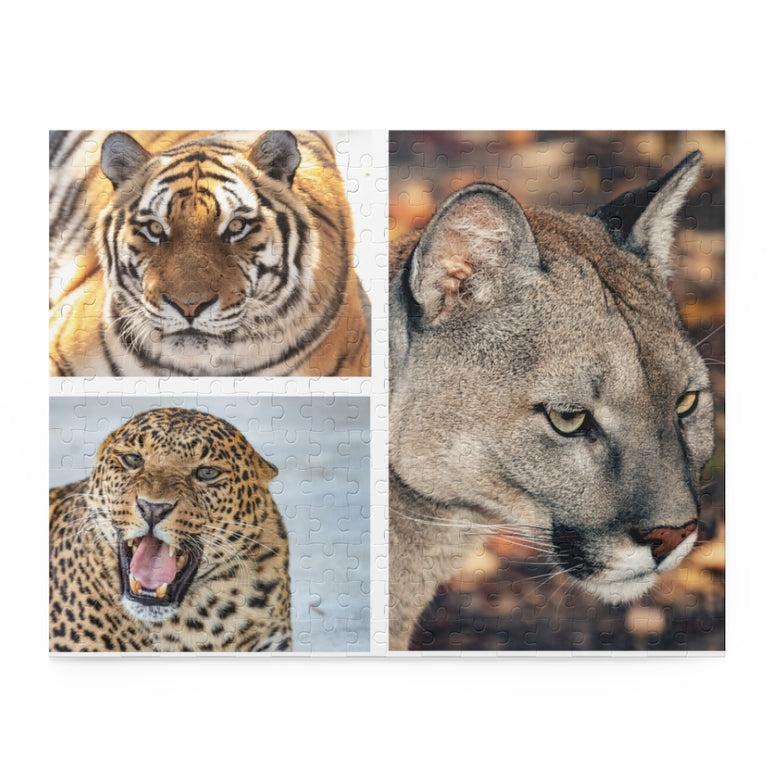 Tiger, jaguar and cougar in a collage - Jigsaw Puzzle