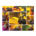 Western Honey Bee Collage - Jigsaw Puzzle