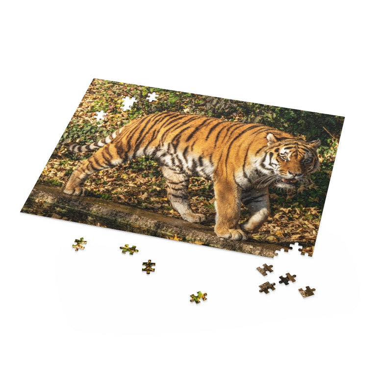 The Siberian tiger -Panthera tigris altaica - Jigsaw Puzzle