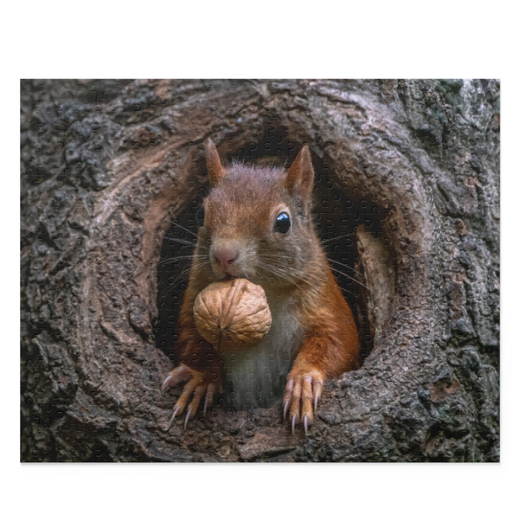 Eurasian red squirrel - Noord Brabant - Netherlands - Jigsaw Puzzle