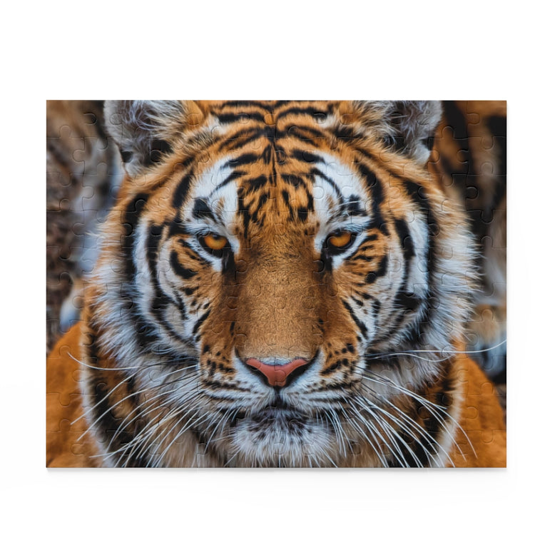 Siberian Tiger Closeup - Jigsaw Puzzle