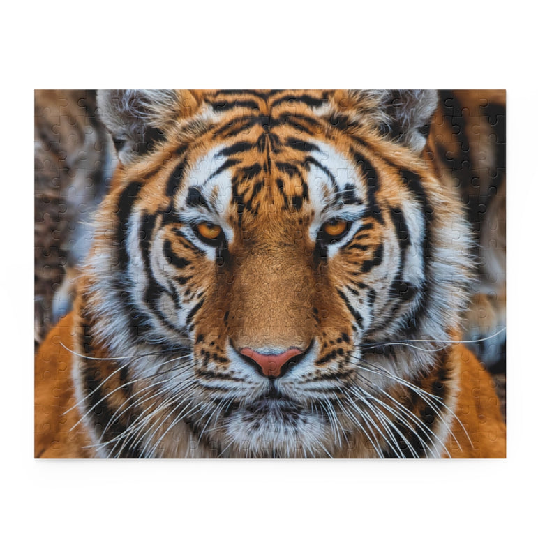 Siberian Tiger Closeup - Jigsaw Puzzle