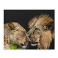 Lion Couple Intimate Love - Jigsaw Puzzle