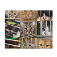 Sad Cats Collage - Jigsaw Puzzle