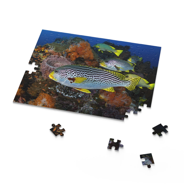 Sweet-lips Snappers - Indonesia - Jigsaw Puzzle