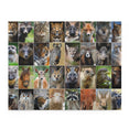 Close up collage of animals and birds - Jigsaw Puzzle