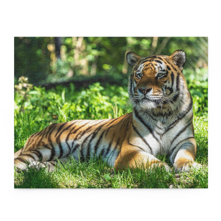 Biggest cat in the world - Siberian Tiger - Jigsaw Puzzle