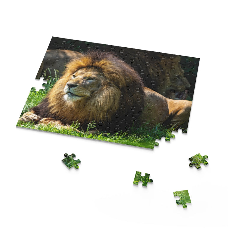 Panthera leo - The lion - Jigsaw Puzzle