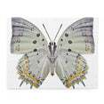 Jewelled Nawab - beautiful butterfly - Jigsaw Puzzle