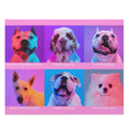 Collage - Popular Purebred Dogs - Jigsaw Puzzle