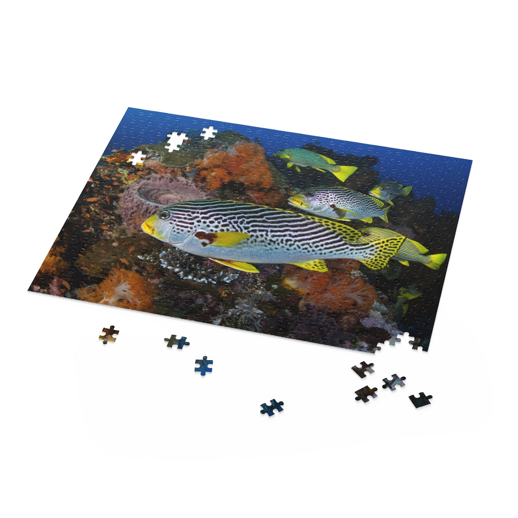 Sweet-lips snappers - indonesia - jigsaw puzzle