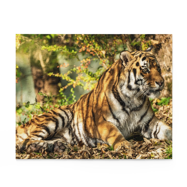 Siberian tiger - Jigsaw Puzzle