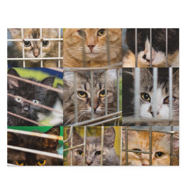 Sad Cats Collage - Jigsaw Puzzle