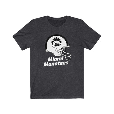 Miami Manatees Football