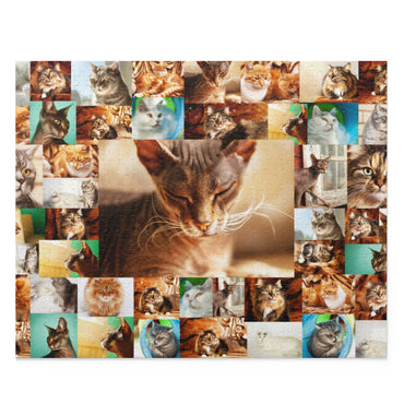Cats - Collage - Center is Sphynx cat - Jigsaw Puzzle