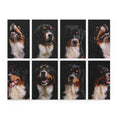 Bernese Mountain Dog Collage - Jigsaw Puzzle
