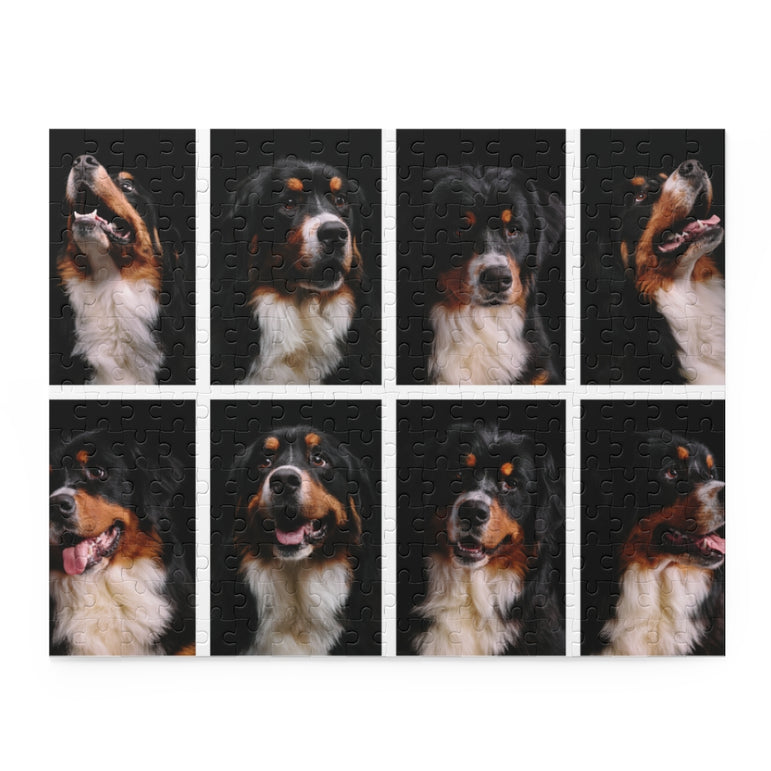 Bernese Mountain Dog Collage - Jigsaw Puzzle