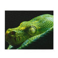 Green tree python - Pythonidae family - Australia - Jigsaw Puzzle