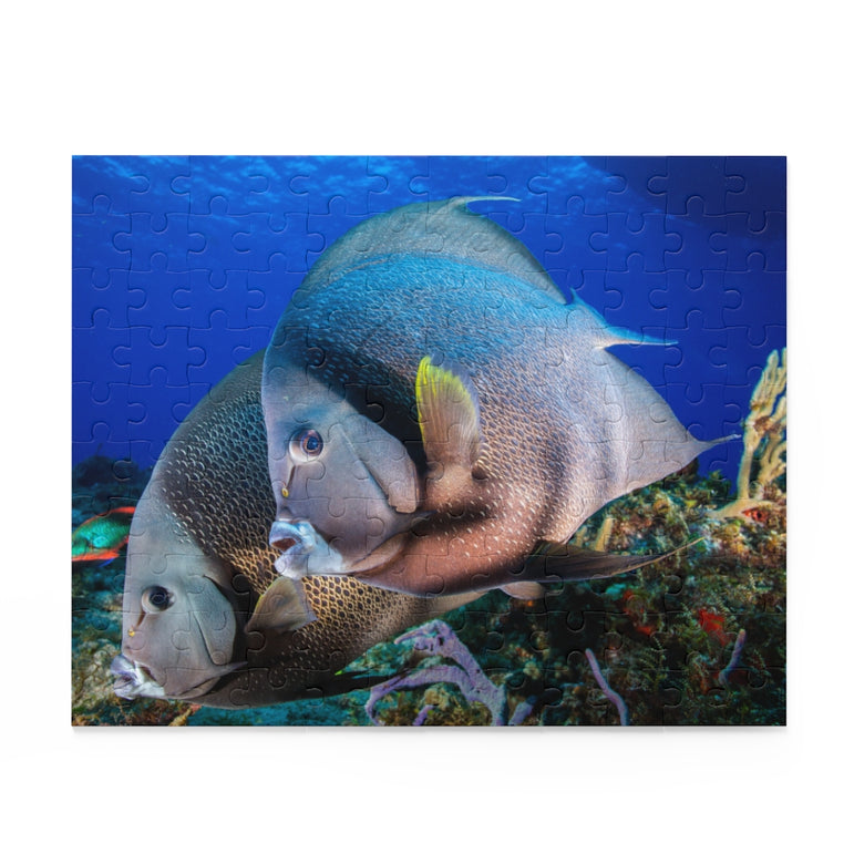 Gray Angel Fish in Cozumel, Mexico - Jigsaw Puzzle