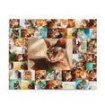 Cats - Collage - Center is Sphynx cat - Jigsaw Puzzle