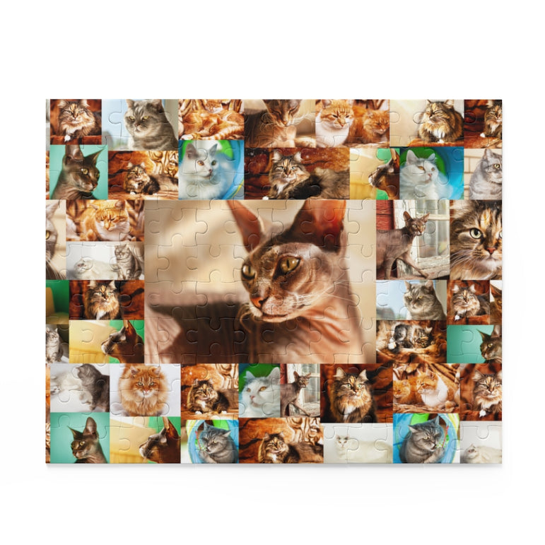 Cats - Collage - Center is Sphynx cat - Jigsaw Puzzle