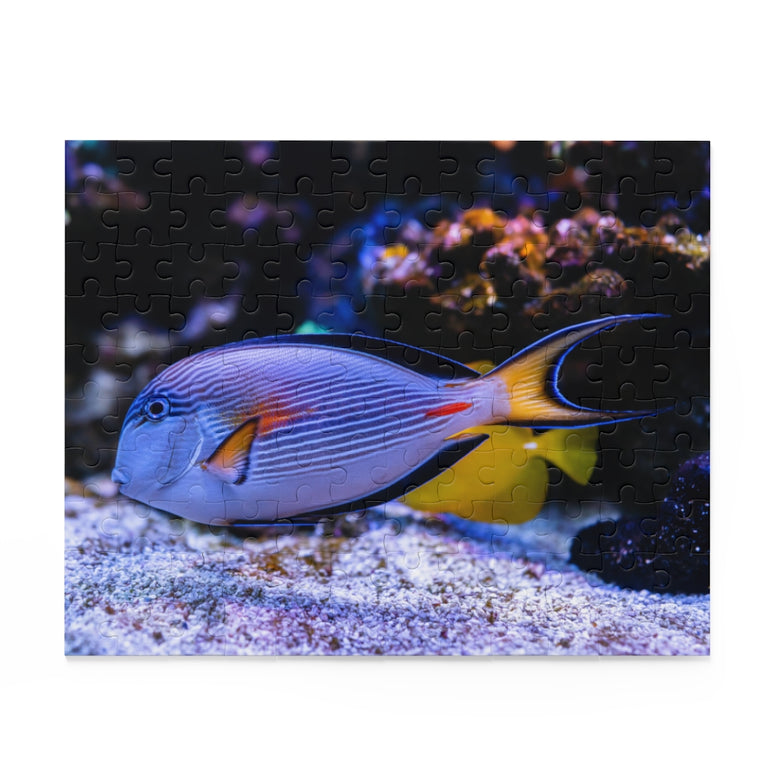 Sohal surgeonfish - beautiful underwater world - Jigsaw Puzzle