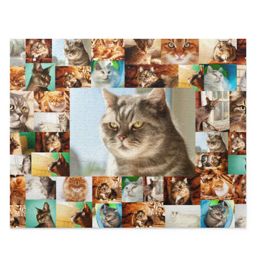 Cats - Collage - Center is British Shorthair cat - Jigsaw Puzzle