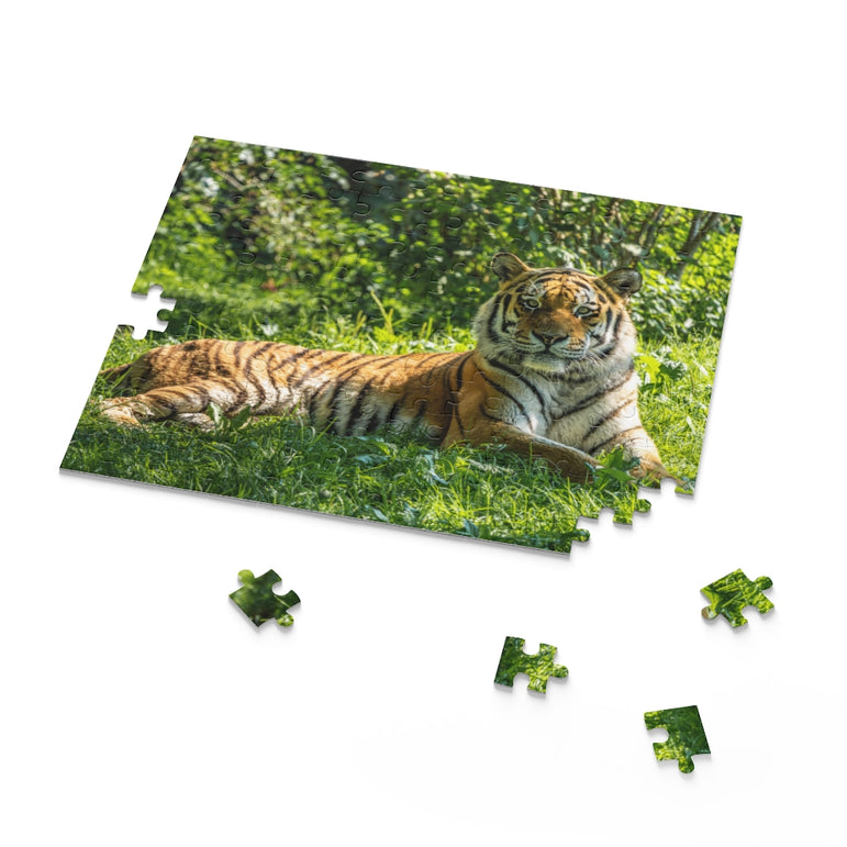 Siberian Tiger - Biggest cat in the world - Jigsaw Puzzle