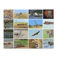 Collage of animals in the African savannah, Kenya - Jigsaw Puzzle