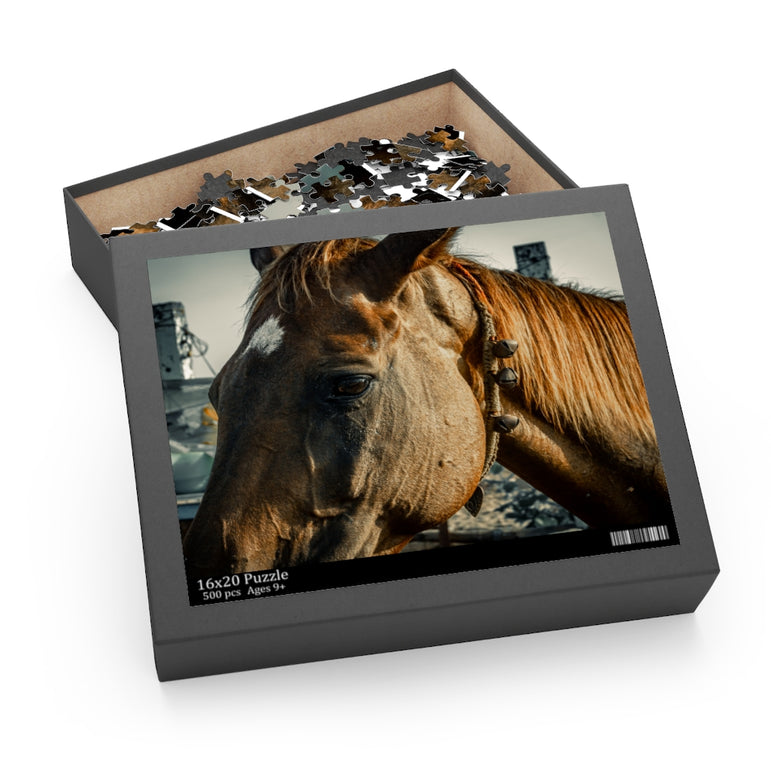 Brown horse, standing near Sea Shore - Jigsaw Puzzle