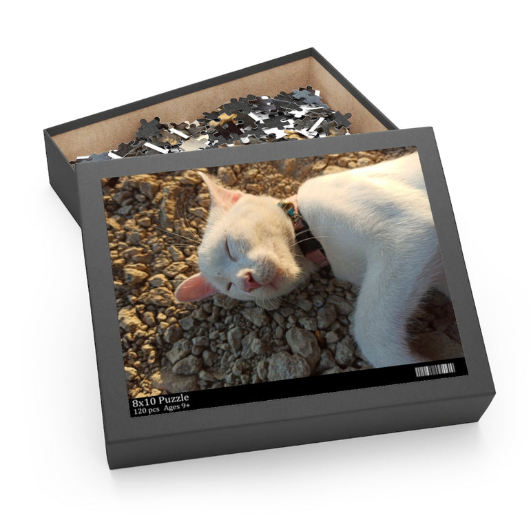 A beautiful sleeping cat in the stone - Jigsaw Puzzle
