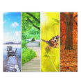 Beautiful natural landscapes - winter, spring, summer, autumn - Jigsaw Puzzle